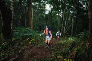 BIB: 
                            <button type="button" onclick="openModal(22426507)" class="btn btn-primary btn-sm float-right btn-popup" data-toggle="modal" data-target=".modal-high-quality">
                        <i class="fas fa-shopping-cart"></i> Add to Cart
                    </button>
                                            <button type="button" onclick="isThisMe(22426507, true)" class="btn btn-success btn-sm float-right btn-popup btn-isme hidden" data-toggle="tooltip" data-placement="bottom" title="นี่คือรูปของคุณใช่ไหม คลิกที่นี่เพื่อเอาเข้าอัลบั้ม">
                        <i class="fas fa-plus"></i> Add to album
                    </button>
                    <button type="button" onclick="isThisMe(22426507, false)" class="btn btn-warning btn-sm float-right btn-popup btn-isnotme hidden">
                        <i class="fas fa-ban"></i> Remove from album
                    </button>